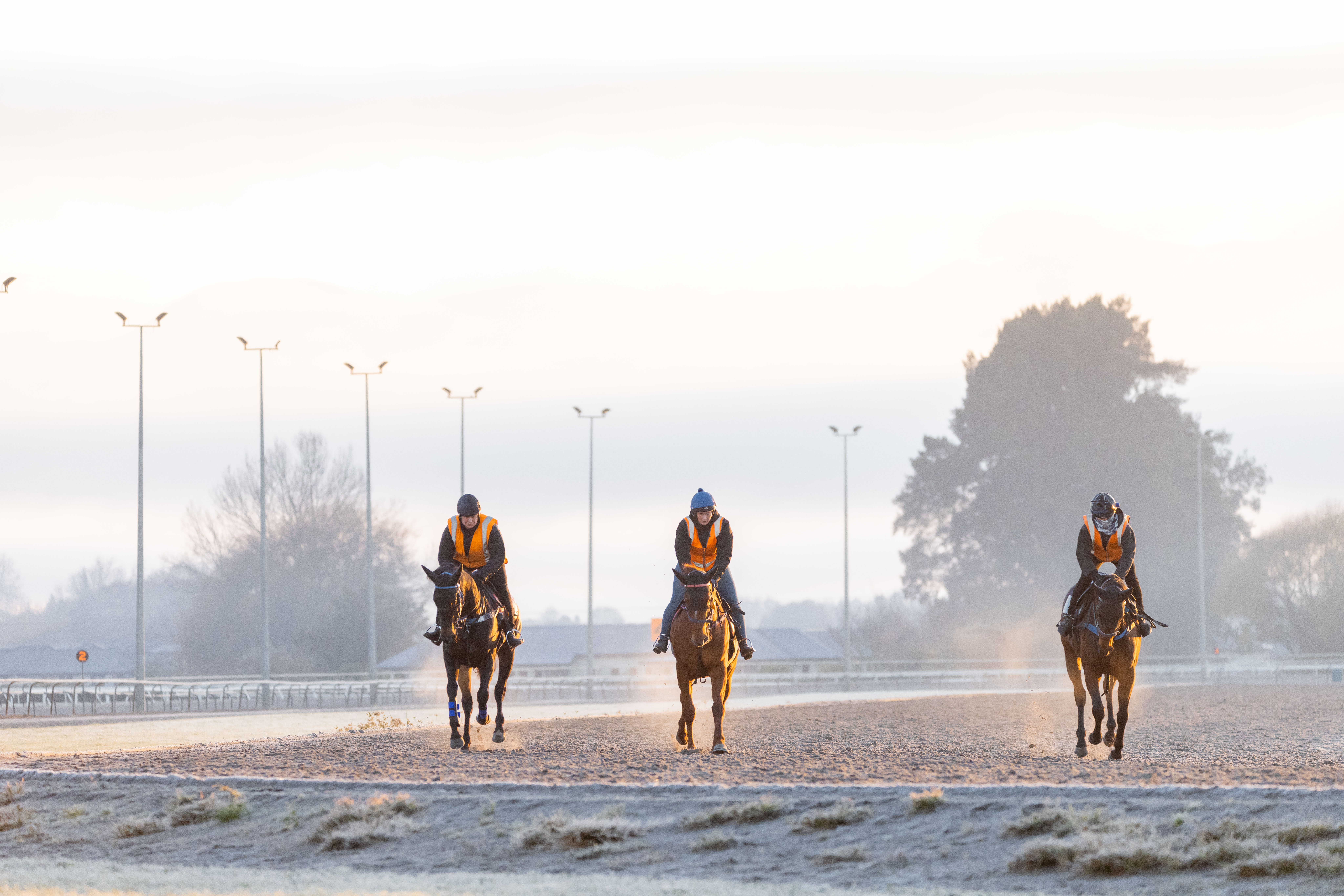 Matamata Racing Club Races into the Future with Exciting Expansion ...